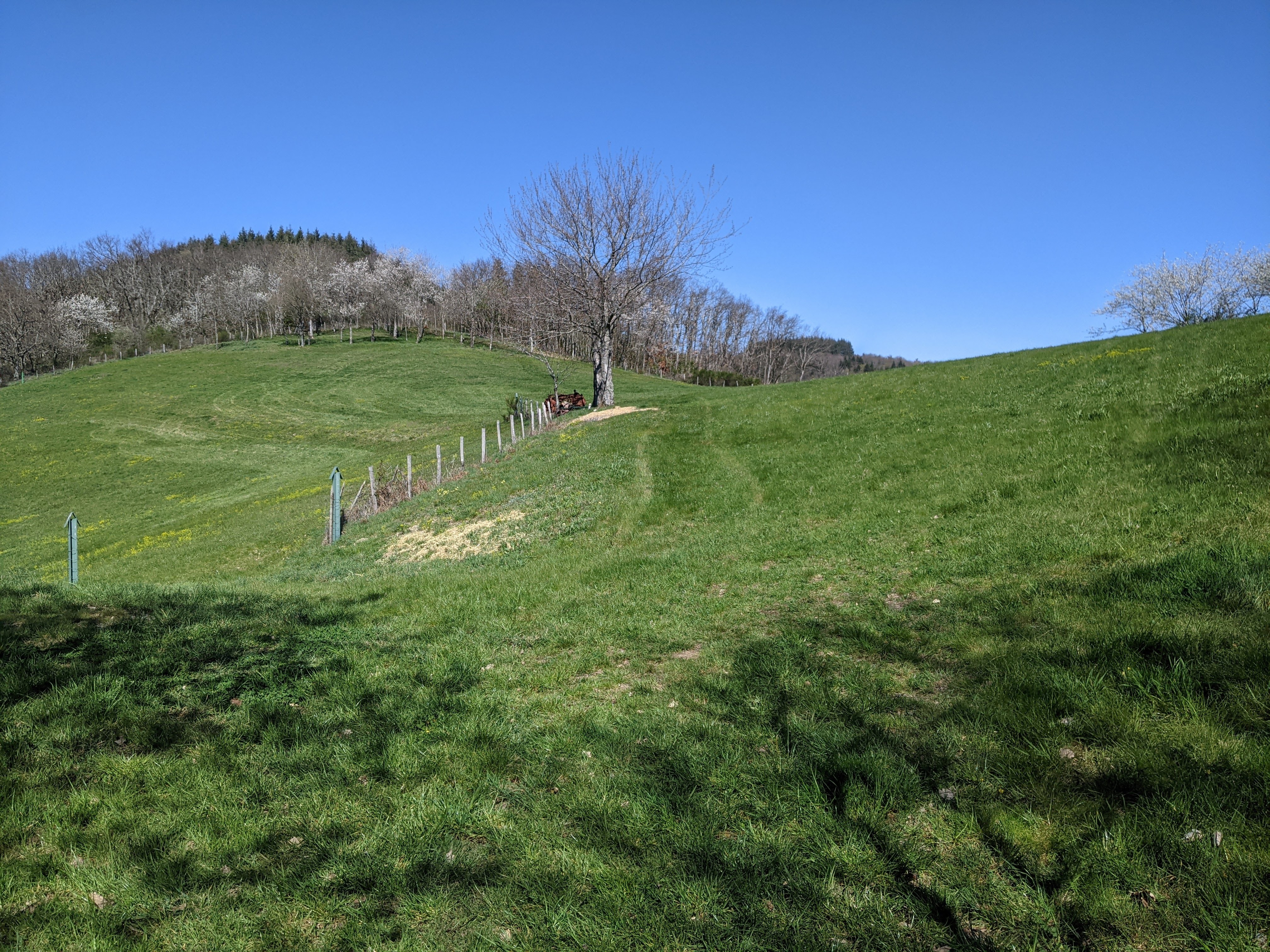 Douceur, soleil et sécheresse en mars 