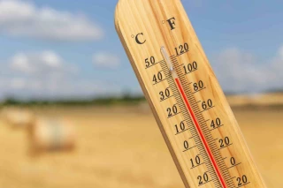 La canicule chahute les productions agricoles