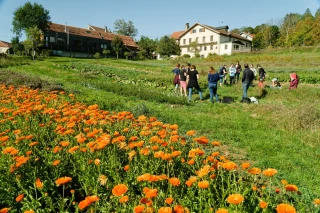 Rencontre entre éleveurs et producteurs de plantes aromatiques et médicinales