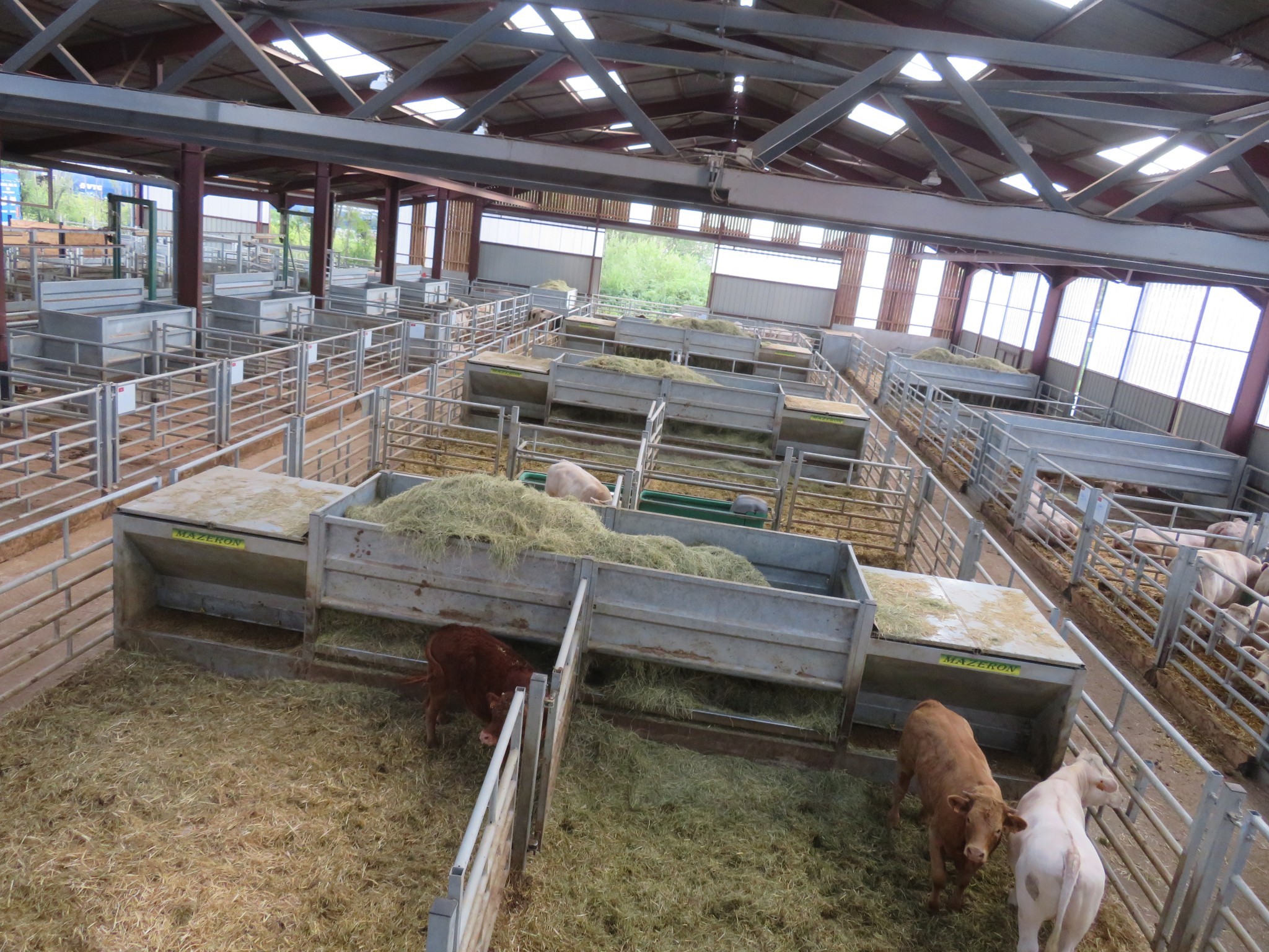 Un projet pour faire progresser la contention animale