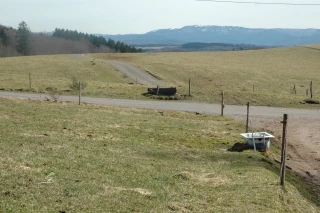 La végétation est en avance