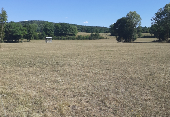 Un quart du Jura devrait pourvoir prétendre aux calamités