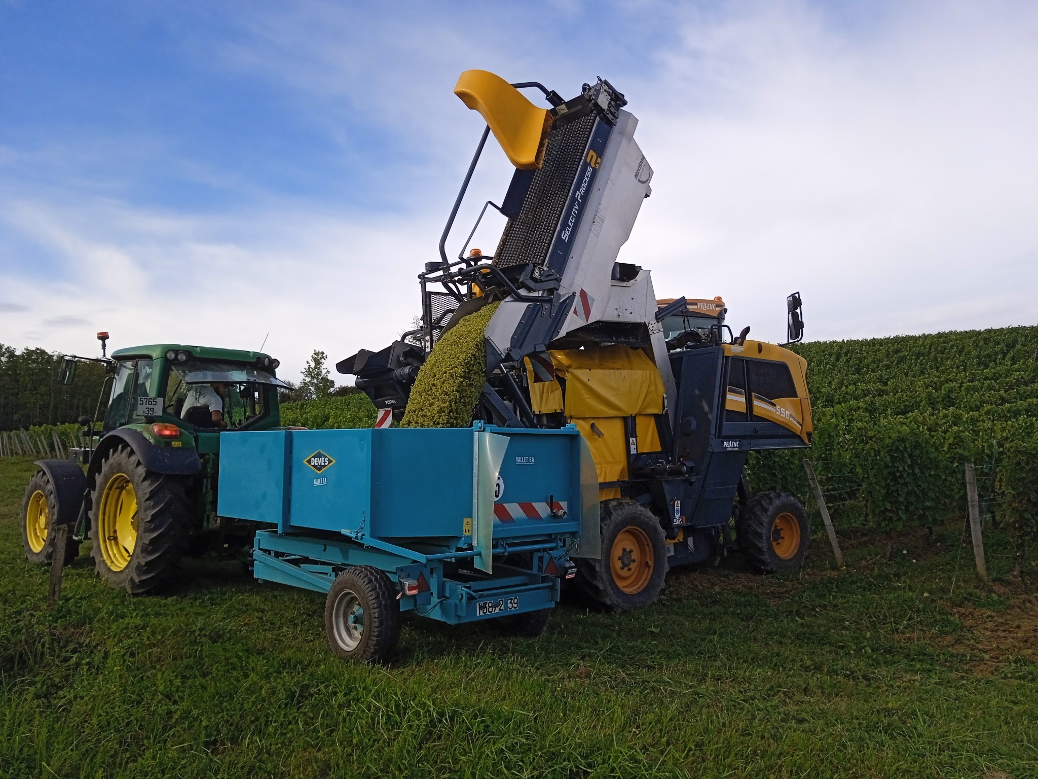 Les vendanges touchent à leur fin