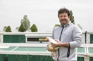 Les poulets de la Ferme de la Colombière