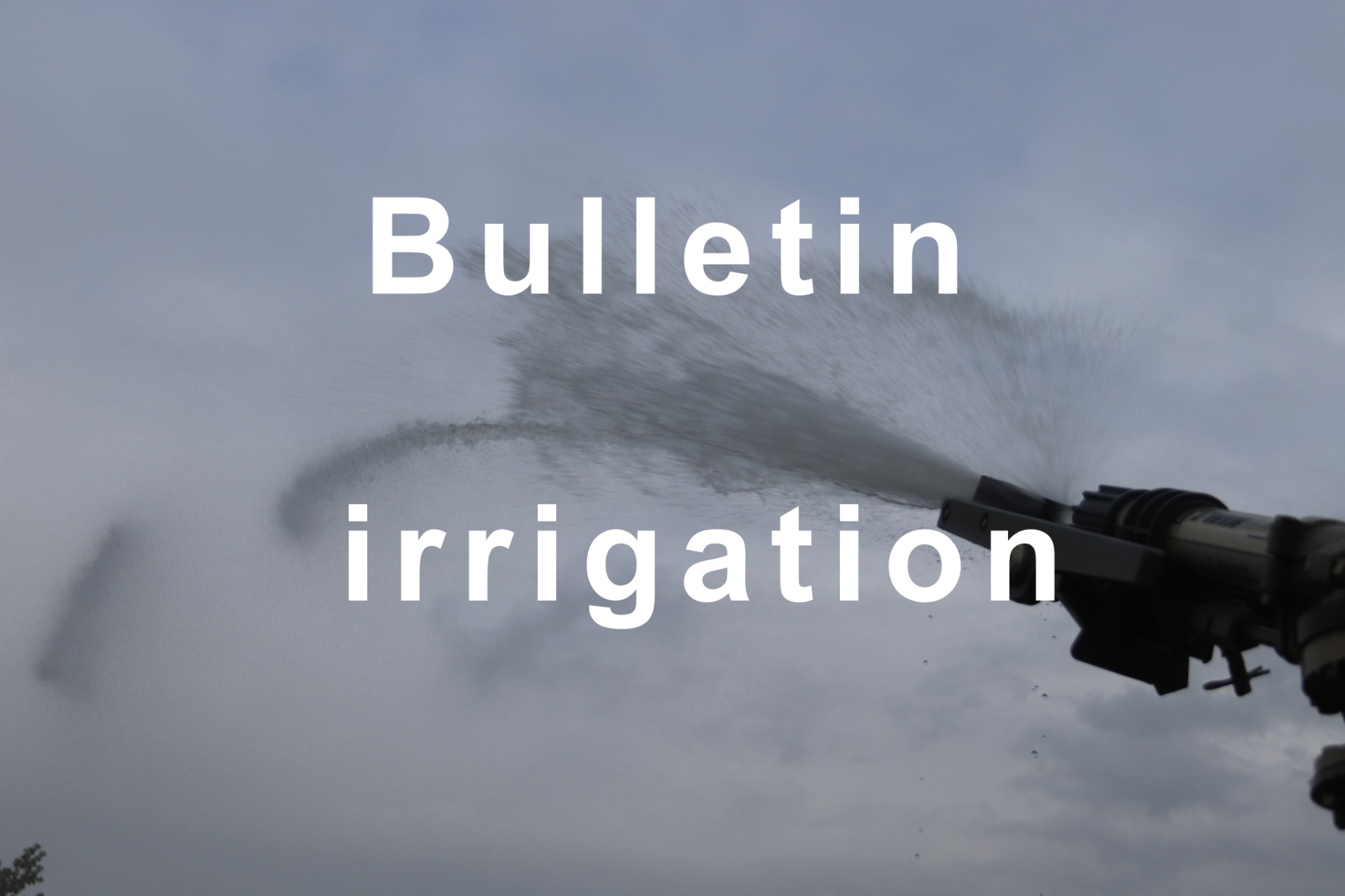 Bulletin d’irrigation du 2 mai au 4 juin