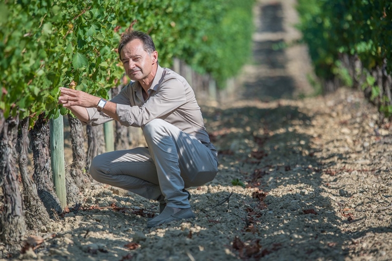 Philippe Dry, directeur de Vignerons Ardéchois : « Les qualités gustatives de ces cépages seront déterminantes ! »
