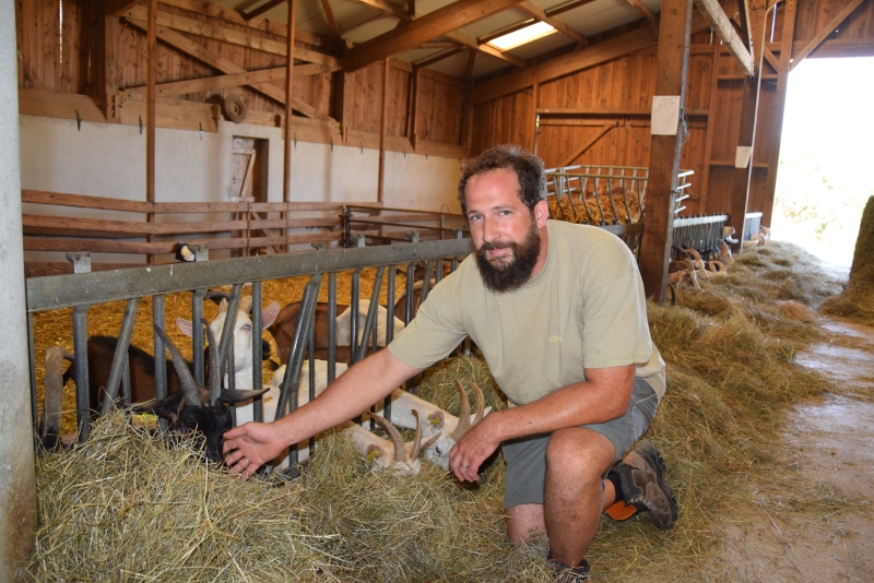 A la Boulaye, la Chèvrerie des Terres Chaudes fait de la vente directe et de la pédagogie