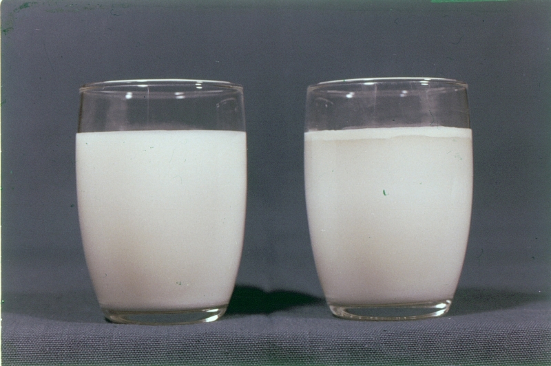 Étiquetage : le lait n’est pas végétal, rappellent les juges européens